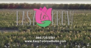Easy to Grow Bulbs Promo Video | www.EvermooreFIlms.com