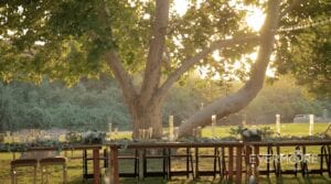 A gorgeous outdoor wedding reception at dusk in Bakersfield, California | www.EvermooreFilms.com